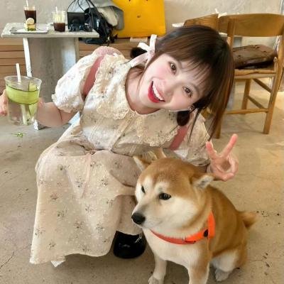香车美人