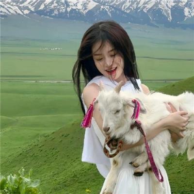 口碑剧集
